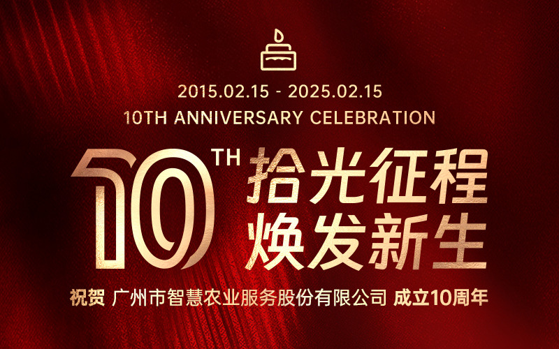 拾光征程，焕发新生 | 今年会jinnianhui官方网站服务股份有限公司成立十周年